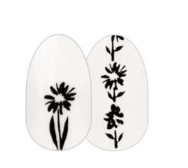 Color Street Made My Daisy Nail Strips – Clear Black Floral Overlay Nail Art