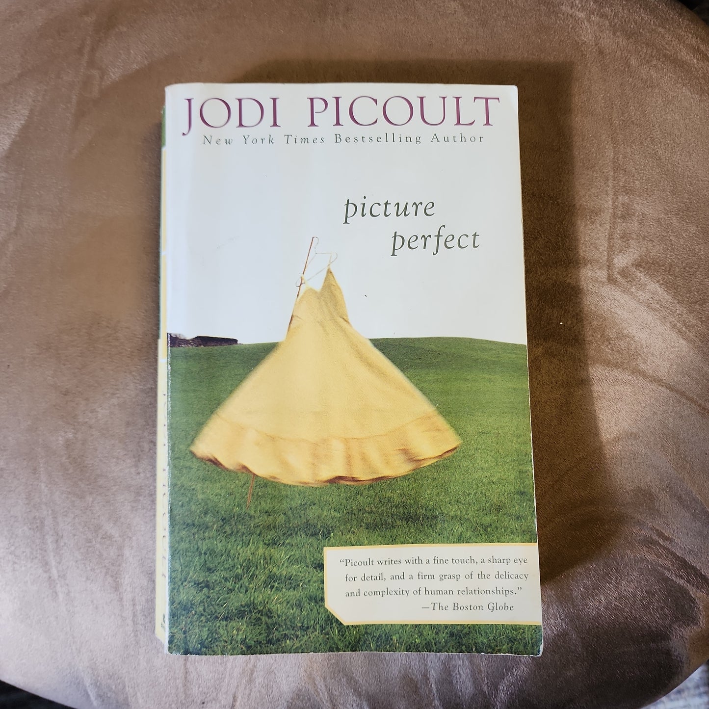 Perfect Picture by Jodi Picoult