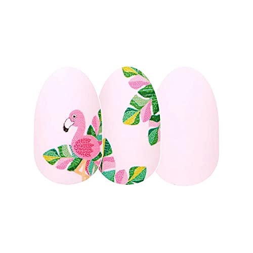 Color Street Flamin-goals Nail Strips Flamingo Leaf Design Real Polish