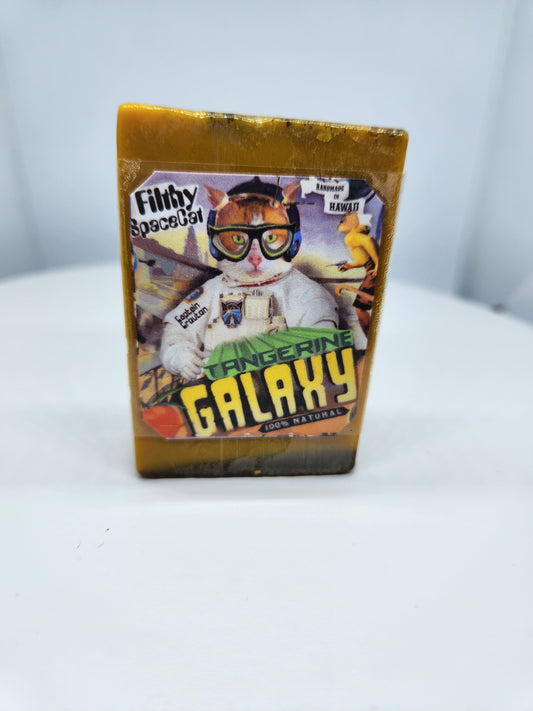 Filthy Farmgirl ~ Soap *Filthy SpaceCat* Small Bar (2 oz)