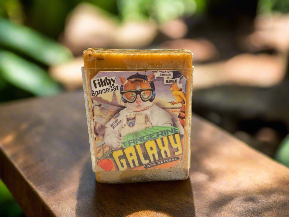 Filthy Farmgirl | Filthy SpaceCat | Soap - Small Bar (2 oz) | Ohana Underground