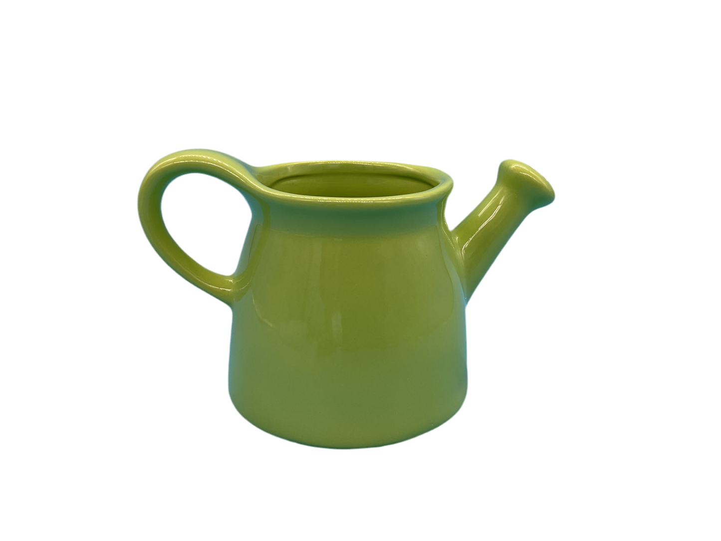 Rae Dunn Good Things Grow Watering Can Planter One Size