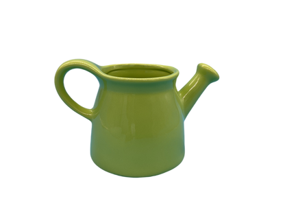 Rae Dunn Good Things Grow Watering Can Planter One Size