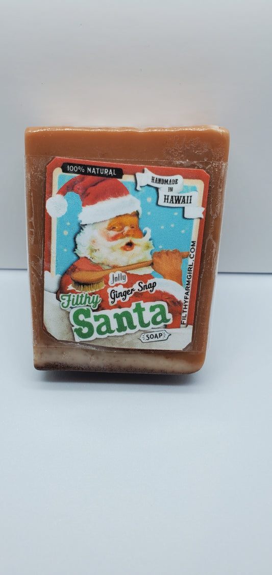 Filthy Farmgirl ~ Soap *Filthy Santa* Small Bar (2 oz)