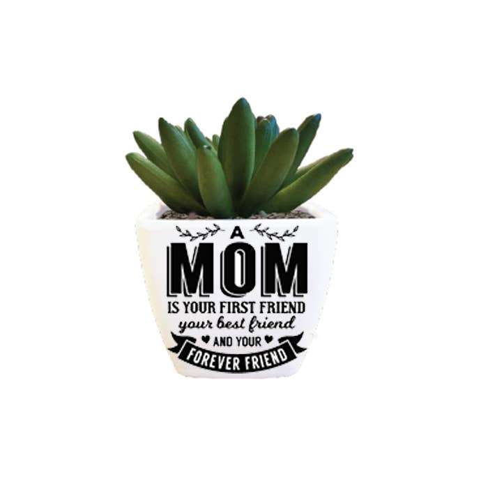 Artificial Succulent - A MOM is your first friend…