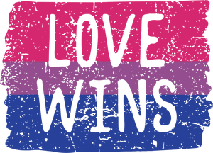 Black Love Wins LGBTQ hoodie