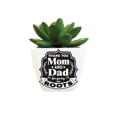 Artificial Succulent - Thank you Mom & Dad…