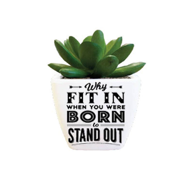 Artificial Succulent - stand out
