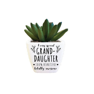 Artificial Succulent -Special Granddaughter