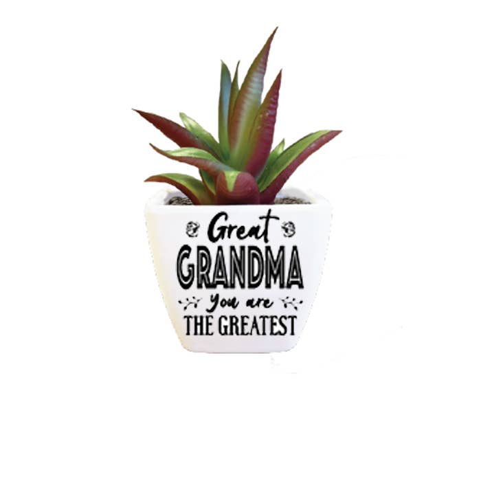 Artificial Succulent - GREAT GRANDMA