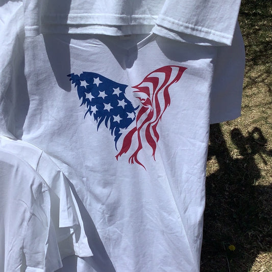 American Eagle V-neck t-shirt